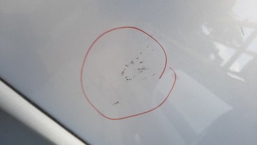 фото thumb №4, Дверь зад задние левая renault scenic ii 04r