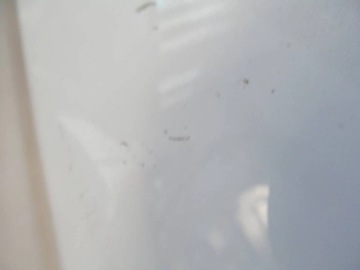 фото thumb №10, Ford transit courier 14-23 дверь правые перед передние правые c410