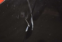 фото thumb №6, Капот кришка двигуна czarna renault laguna 3 iii 07-11