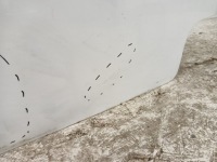 фото thumb №2, Дверь правое задние правый задняя berlingo 4 iv rifter combo e 18-