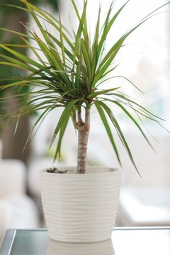 Doniczka Sahara Petit z podstawką Biała 27 cm