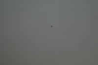 фото thumb №12, Двері правий перед audi a4 b8 ly9c