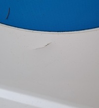 фото thumb №11, Ford transit connect mk2 lift 2018 двері задні праве зсувні