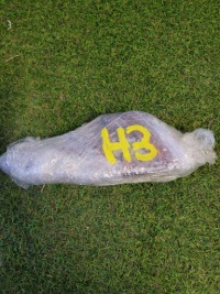 фото thumb №5, Volvo v40 лампа задняя задняя противотуманная 31395551