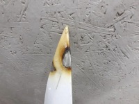 фото thumb №4, Крыло передний перед правый tesla x