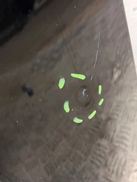 фото thumb №5, Капот renault scenic iii 3 lift 13-