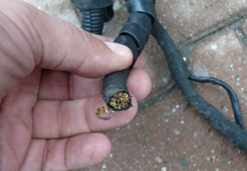 фото thumb №10, Жгут установка двигателя fiat stilo i 2.4 170km