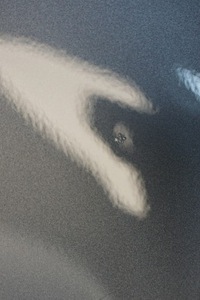 фото thumb №13, Крила лівий перед seat ibiza 6j lx7r