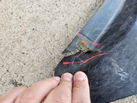 фото thumb №12, Volkswagen golf v плита захист pod двигун 1k0825237ab