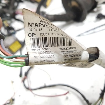 фото thumb №9, Джгут установка камери двигуна 2008 9819610080b