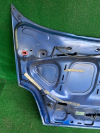 фото thumb №9, Капот перед передняя крышка двигателя fiat grande punto 2008 599/a wwa