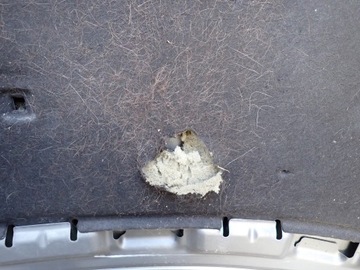 фото thumb №10, Капот крышка двигателя skoda fabia 2 ii roomster 5j 2006-2010r 5j0823031a