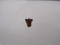 фото thumb №8, Крышка багажника задняя volkswagen passat b5 рестайлинг