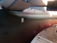 фото thumb №12, Skoda fabia i крыло правые перед з коррозия tarnów