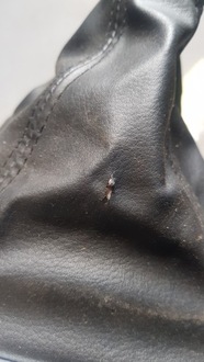 фото thumb №7, Чохол домкрата передач шкіра oryg. mazda 6 gj 2013r. eu m