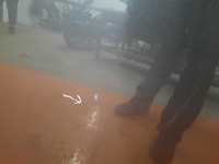 фото thumb №9, Toyota rav 4 v 19- suv капот передня перед