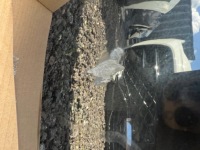 фото thumb №6, Бампер bmw ix m набір kompletny радари датчики демонтаж оригінал