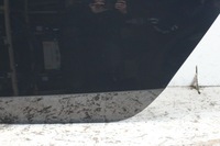 фото thumb №7, Двері лівий зад audi a4 b8 sedan