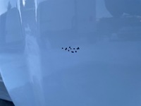 фото thumb №4, Ford connect mk2 капот