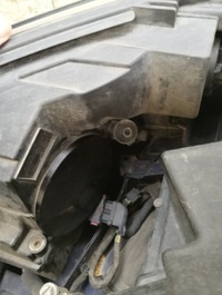 фото thumb №6, Заглушка захист фара mercedes 1305219121