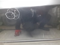 фото thumb №3, Дверь левый задняя renault laguna ii teb66