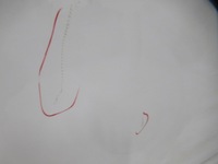 фото thumb №5, Citroen c3 iii дверь правое задние ewpb