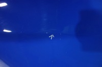 фото thumb №7, Крыло перед правый vw polo v 5 6r 09-17 цвет -d5c