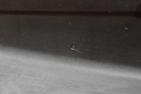 фото thumb №6, Жабо eu 55709-47070 55708-47080 toyota prius 2 ii xw20 lift 05-11