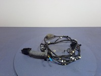 фото thumb №1, Bmw x5 g05 джгут двері задніх праві зад 8779817