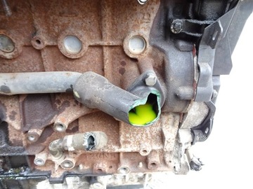 фото thumb №10, Двигун 2.0 tdci ufdb ford focus mk3 s-max mondeo c-max