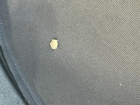 Купить Windshot windschott ветрозащитный экран сетка mercedes sl 230 r230 w230, фото thumb