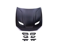 фото thumb №1, Bmw 5 g30/g31 2017 - капот