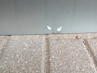 фото thumb №8, Крышка багажника задняя задняя citroen ds4 ii 2021- poznań ---- giełda