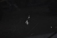 фото thumb №7, Дверь правое задняя задние чёрные mitsubishi lancer 8 viii 5d hb 07-11