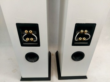 DLS R55 – громкоговорители