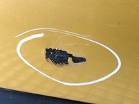 фото thumb №6, Бампер задня audi a3 8l хетчбек 96-06 задній