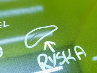 фото thumb №11, Дверь audi a4 b7 правый задняя lz7c sedan kombi