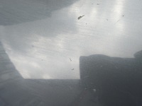 фото thumb №11, Крыло перед передний левый seat leon ii lift lz7x