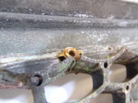 фото thumb №14, Решітка радіатора решітка радіатора радіатора suzuki liana