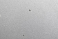 фото thumb №6, Капот крышка двигателя toyota verso 10r