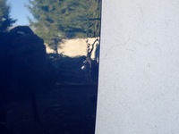 фото thumb №11, Дверь левая передние левый перед toyota proace city 2018- su001b0460