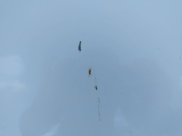 фото thumb №7, Nissan qashqai j12 2022-2025 капот крышка двигателя белая