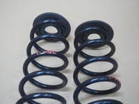 фото thumb №3, Пружины задняя комплект vw t-roc