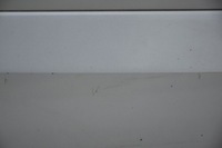 фото thumb №5, Дверь передние перед правое renault koleos i tekxb