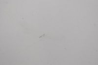 фото thumb №6, Дверь левая перед передние белый peugeot expert 2 ii 07-12