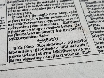 Шимон Сирениуш ЗЕЛЬНИК травничество 1613 k.