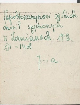 СТАРАЯ ФОТОГРАФИЯ - ВОЖНЯНИ 1942 ГОДА.