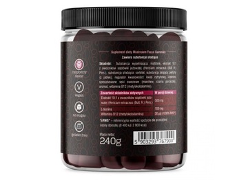 SOLVE LABS MUSHROOM FOCUS GUMMIES JELLIES 240G Lion's Mane B12 Theanine