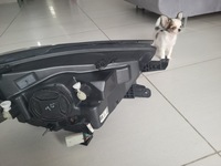 фото thumb №10, Opel mokka корпус фильтра воздуха 1.7cdti