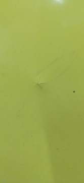 фото thumb №2, Audi a4 b5 рестайлінг капот перед передня